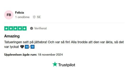 Trustpilotomdöme från nöjd kund för FakeInk.se